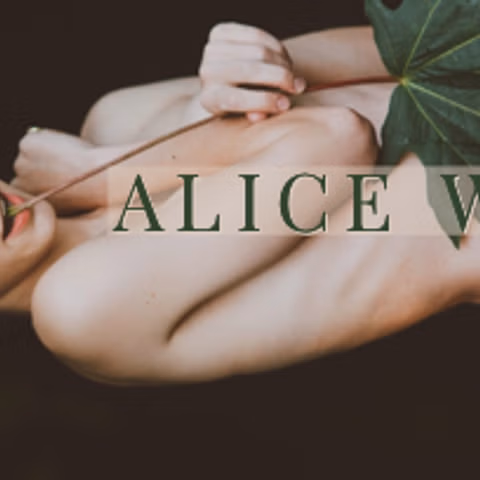 aliceoncam cover